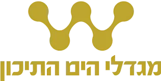 42cef4f3-60d1-4ed7-8177-5dec3ef318da.webp